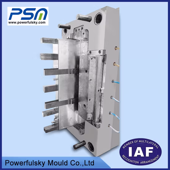 Injection Plastic Auto Car Battery Storage Box Mould